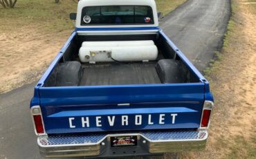 Chevrolet-Other-Pickups-1971-4