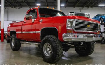 Chevrolet-Other-Pickups-1973-9