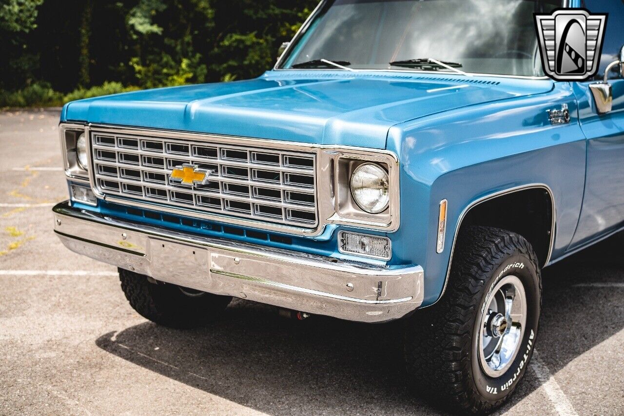 Chevrolet-Other-Pickups-1976-10