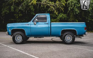 Chevrolet-Other-Pickups-1976-3