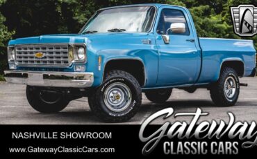 Chevrolet Other Pickups  1976