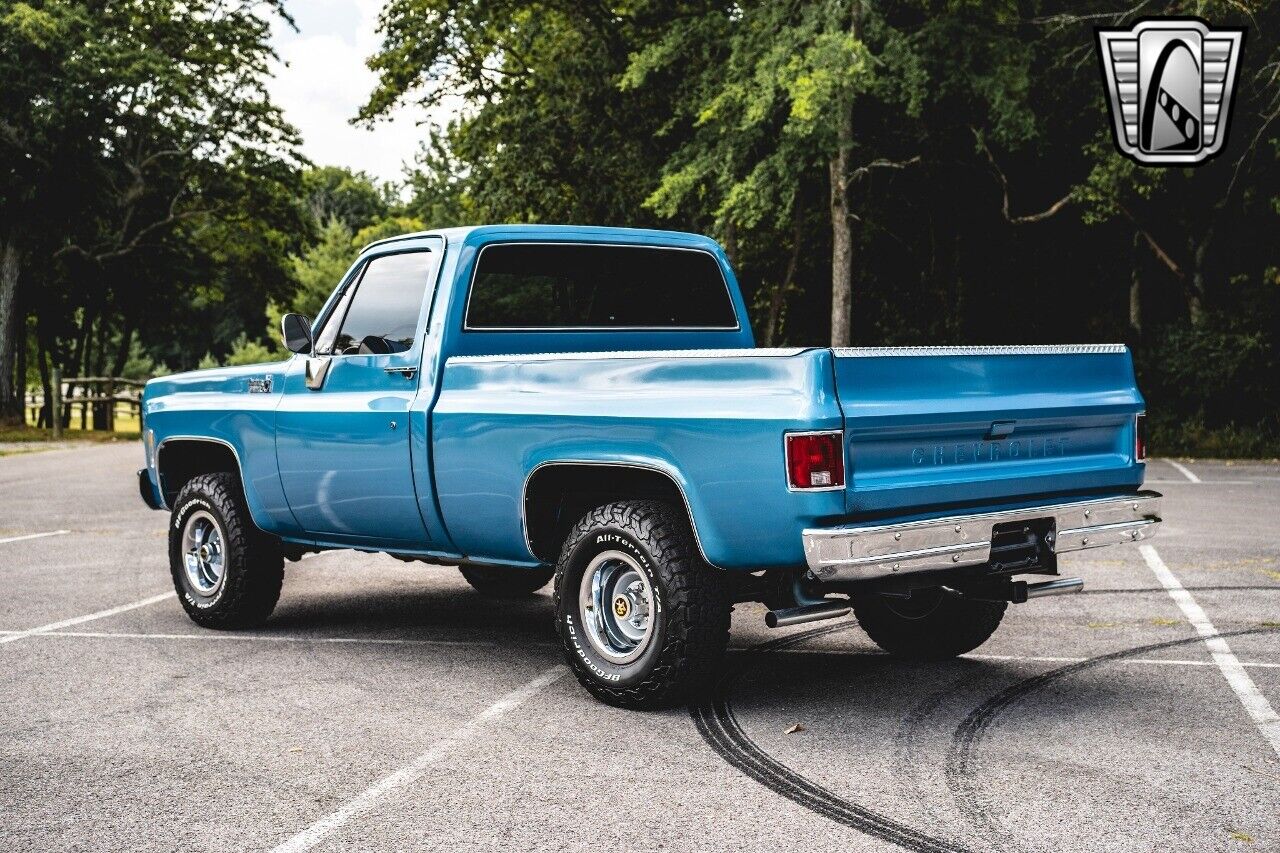 Chevrolet-Other-Pickups-1976-4