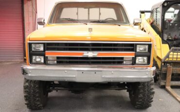 Chevrolet-Other-Pickups-1978-1