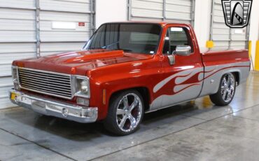 Chevrolet-Other-Pickups-1978-10