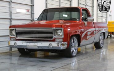 Chevrolet-Other-Pickups-1978-4