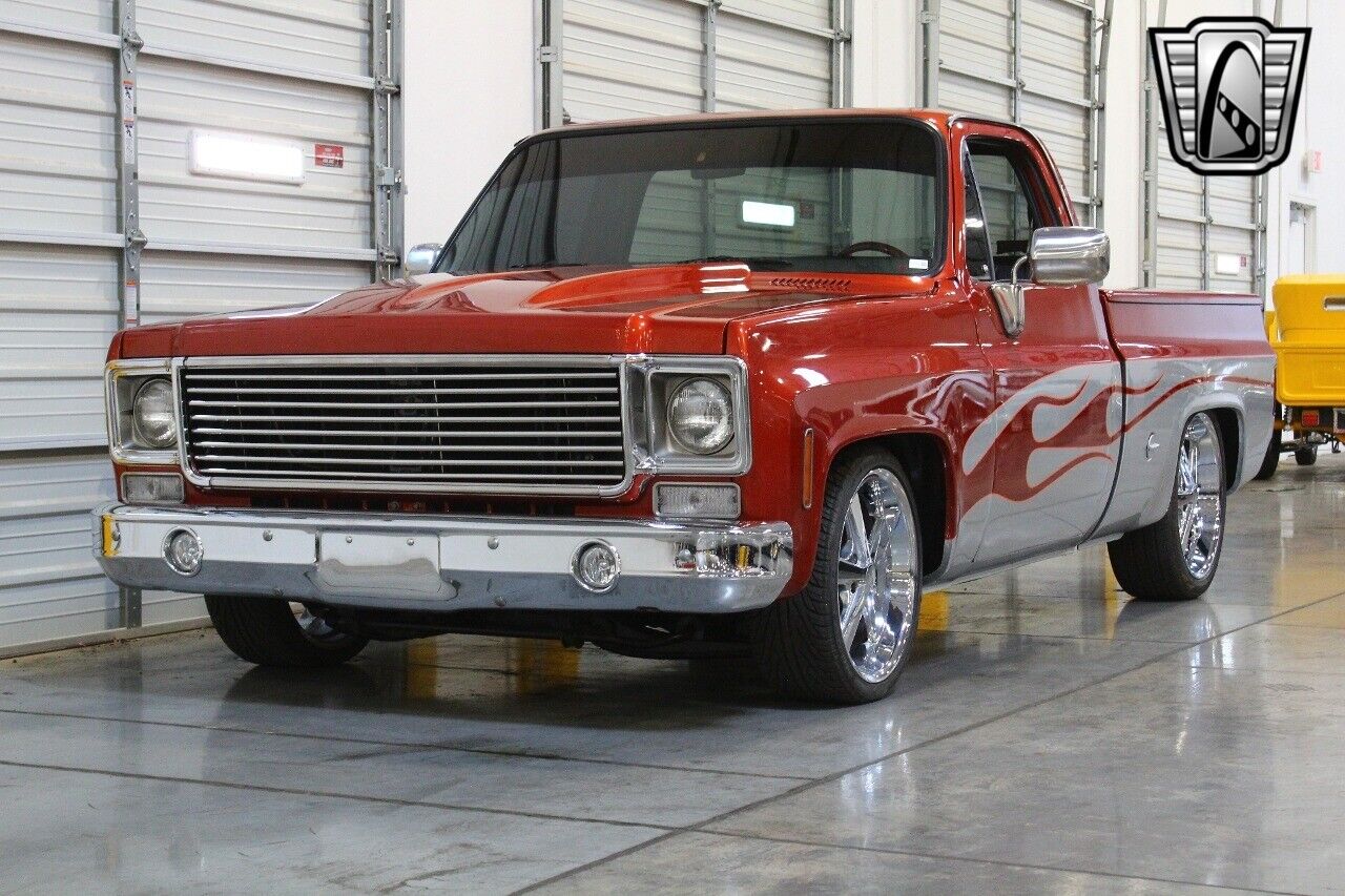 Chevrolet-Other-Pickups-1978-4