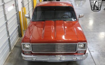 Chevrolet-Other-Pickups-1978-6