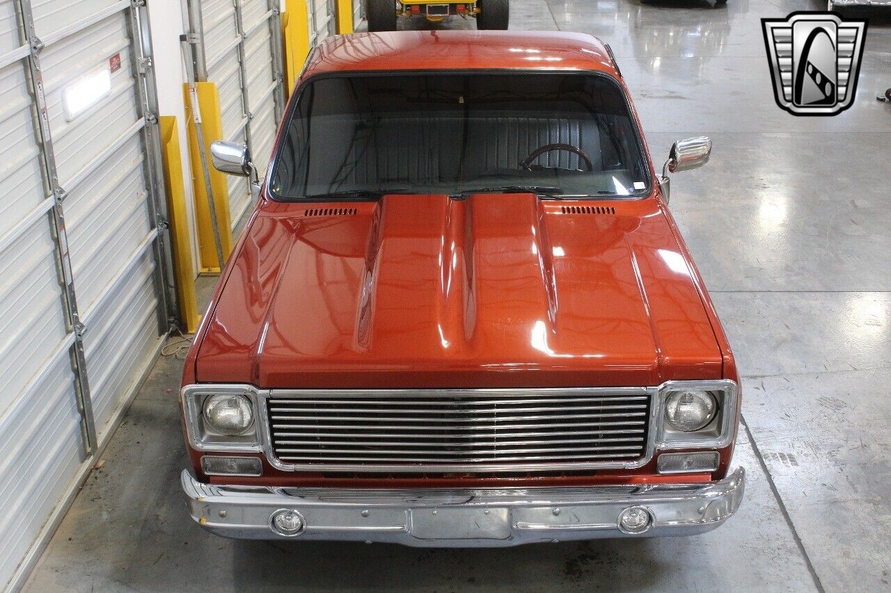 Chevrolet-Other-Pickups-1978-6