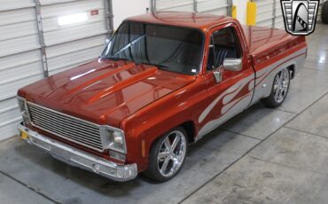 Chevrolet-Other-Pickups-1978-7