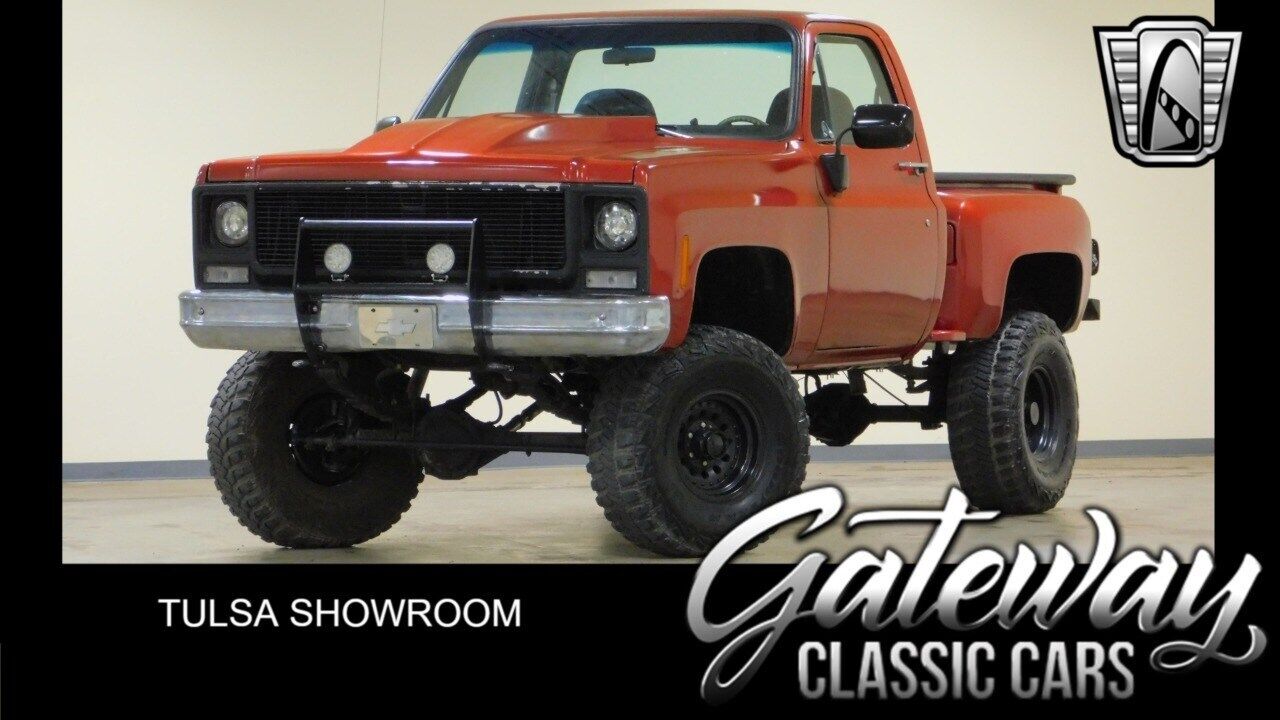 Chevrolet Other Pickups  1979