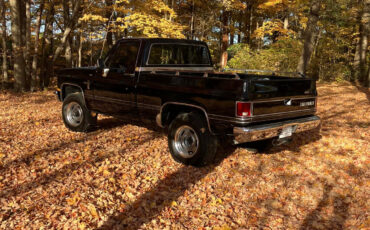 Chevrolet-Other-Pickups-1985-16