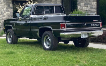 Chevrolet-Other-Pickups-1985-26