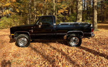 Chevrolet-Other-Pickups-1985-7