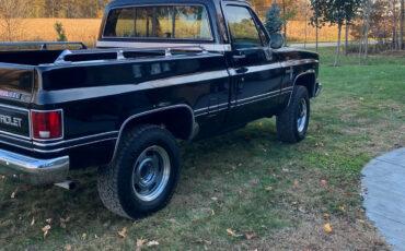 Chevrolet-Other-Pickups-1985-8