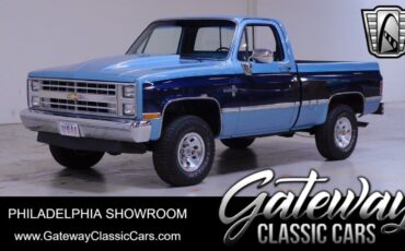 Chevrolet Other Pickups  1986