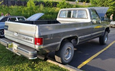 Chevrolet-Other-Pickups-1987-1