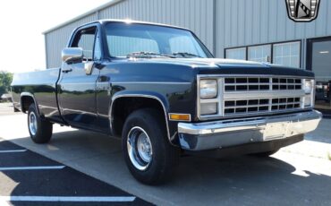 Chevrolet-Other-Pickups-1987-9