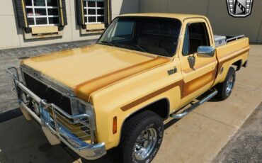 Chevrolet-Other-Pickups-Cabriolet-1978-2