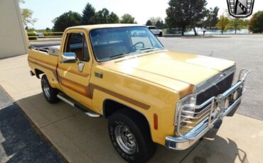 Chevrolet-Other-Pickups-Cabriolet-1978-3