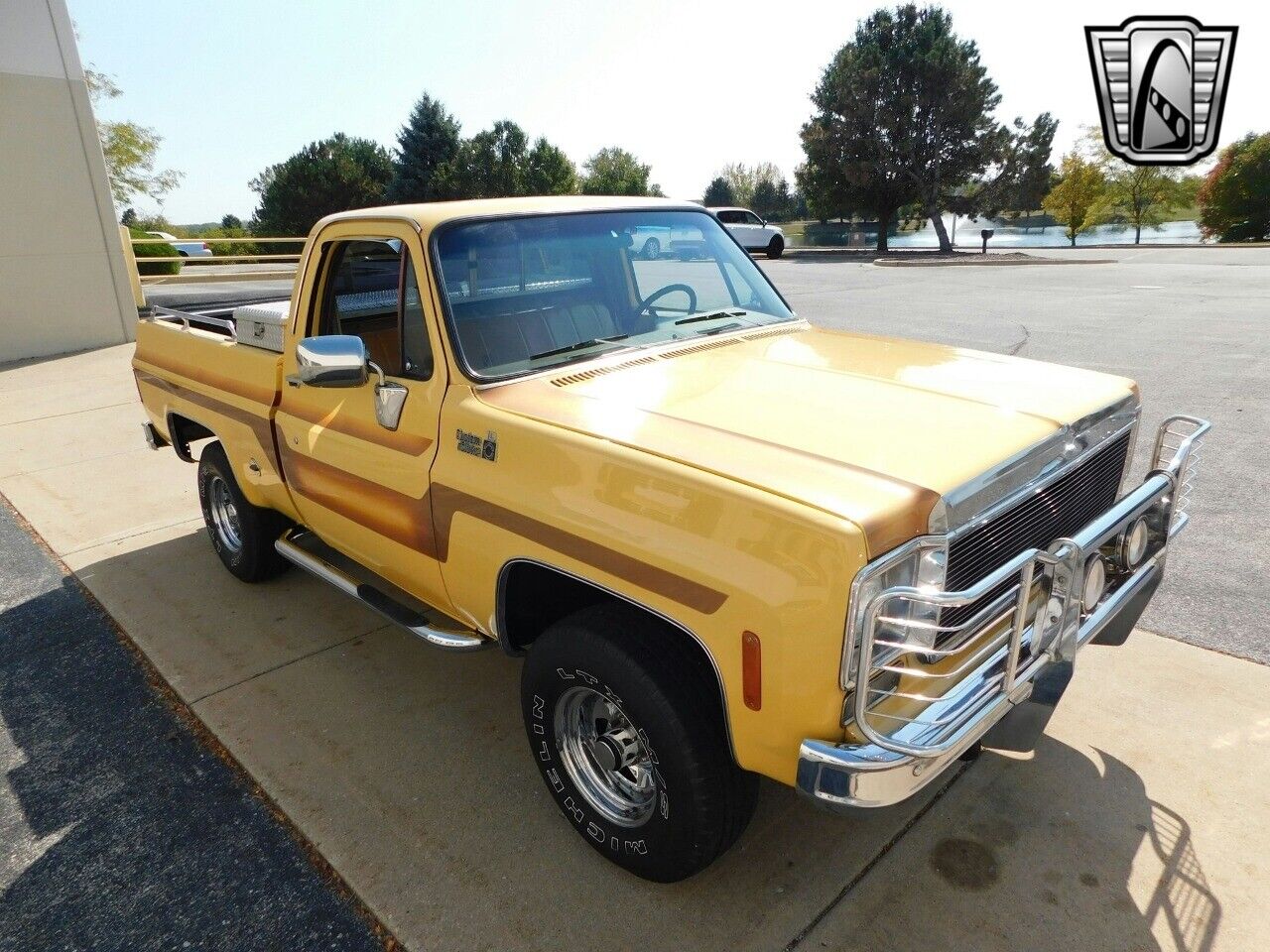 Chevrolet-Other-Pickups-Cabriolet-1978-3