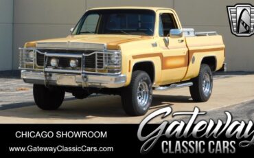 Chevrolet Other Pickups Cabriolet 1978