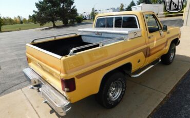 Chevrolet-Other-Pickups-Cabriolet-1978-4