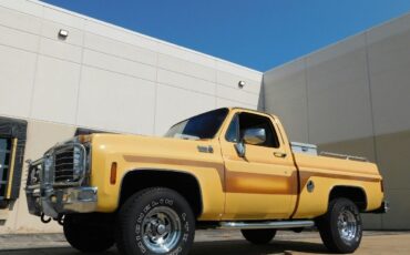 Chevrolet-Other-Pickups-Cabriolet-1978-7