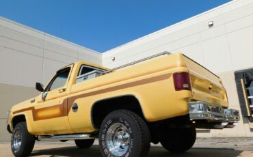 Chevrolet-Other-Pickups-Cabriolet-1978-8