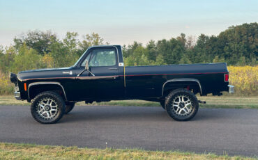 Chevrolet-Other-Pickups-Pickup-1977-1