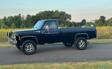 Chevrolet-Other-Pickups-Pickup-1977-10