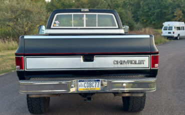 Chevrolet-Other-Pickups-Pickup-1977-12