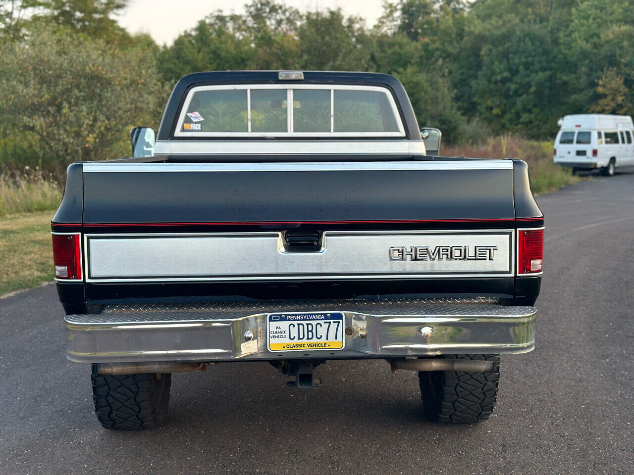 Chevrolet-Other-Pickups-Pickup-1977-12