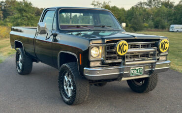 Chevrolet-Other-Pickups-Pickup-1977-2