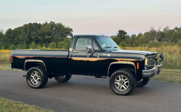 Chevrolet Other Pickups Pickup 1977