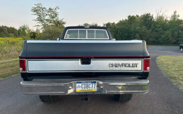 Chevrolet-Other-Pickups-Pickup-1977-7