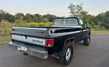 Chevrolet-Other-Pickups-Pickup-1977-8