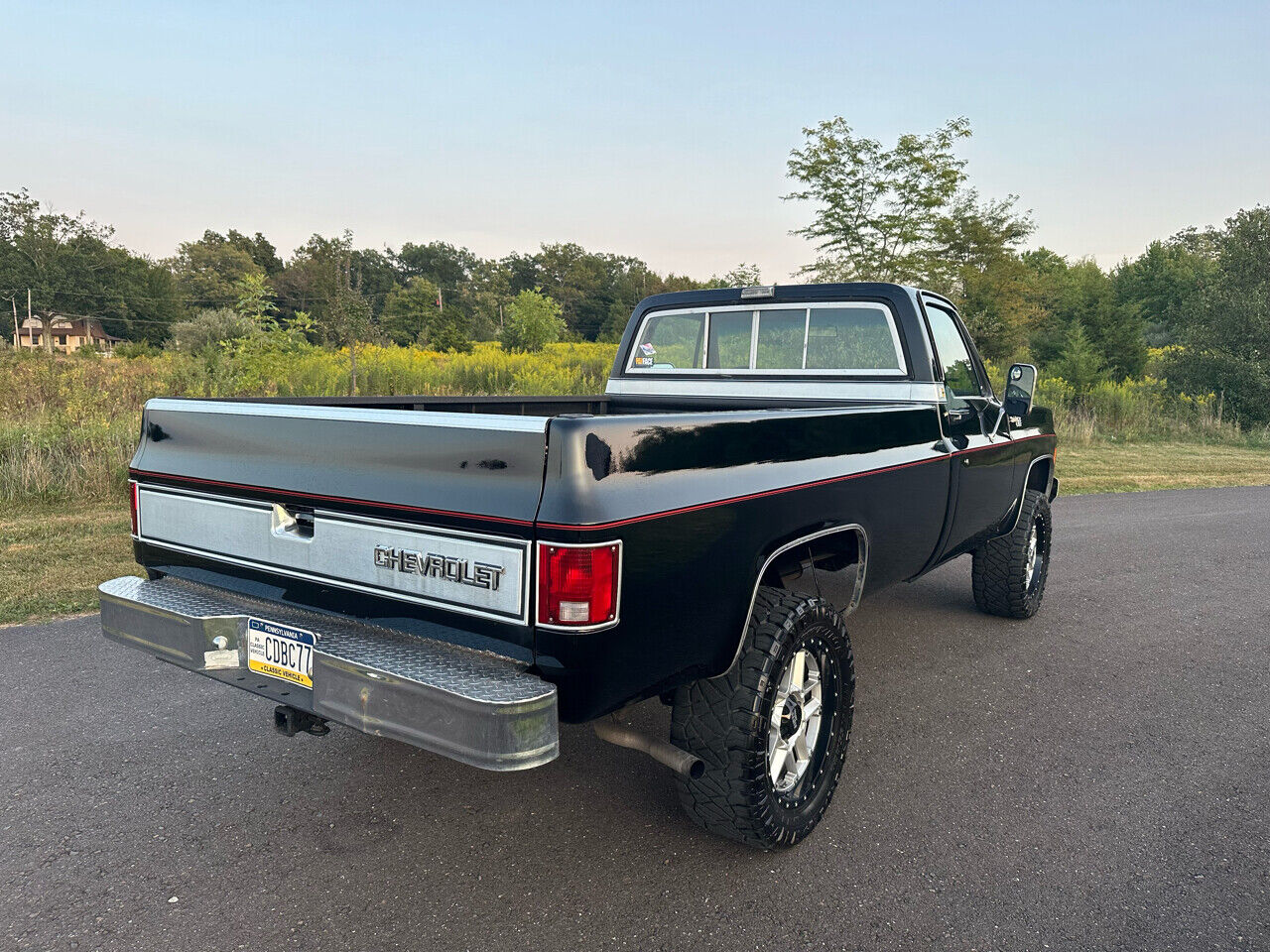 Chevrolet-Other-Pickups-Pickup-1977-8