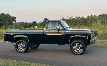 Chevrolet-Other-Pickups-Pickup-1977-9