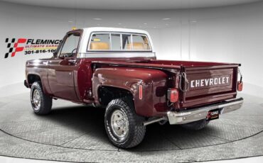 Chevrolet-Other-Pickups-Pickup-1978-2