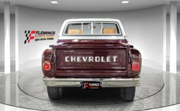 Chevrolet-Other-Pickups-Pickup-1978-3