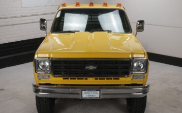 Chevrolet-Other-Pickups-Pickup-1978-3