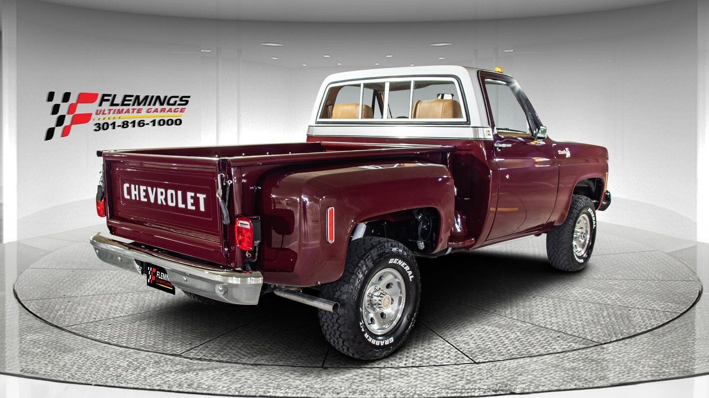 Chevrolet-Other-Pickups-Pickup-1978-4