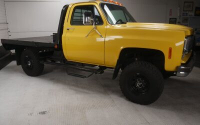 Chevrolet Other Pickups Pickup 1978 à vendre