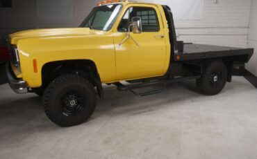 Chevrolet-Other-Pickups-Pickup-1978-6