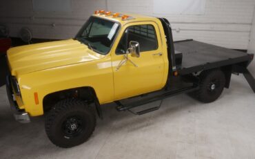 Chevrolet-Other-Pickups-Pickup-1978-7