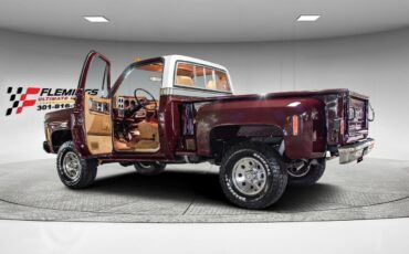 Chevrolet-Other-Pickups-Pickup-1978-9