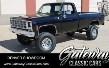 Chevrolet Other Pickups Pickup 1979