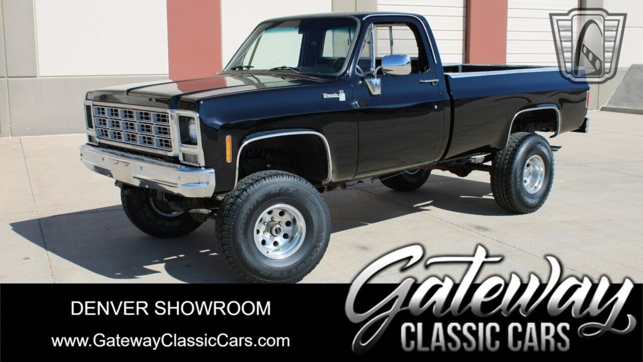 Chevrolet Other Pickups Pickup 1979