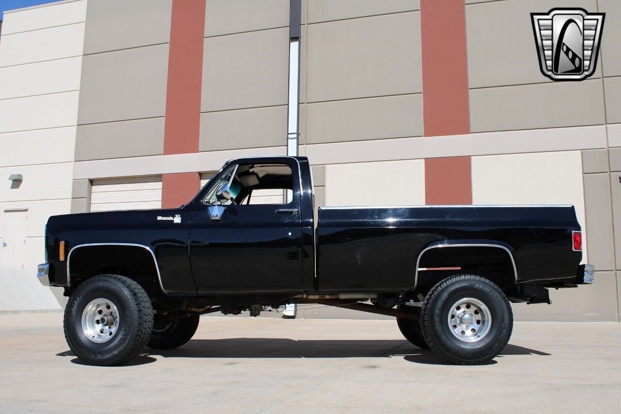 Chevrolet-Other-Pickups-Pickup-1979-3