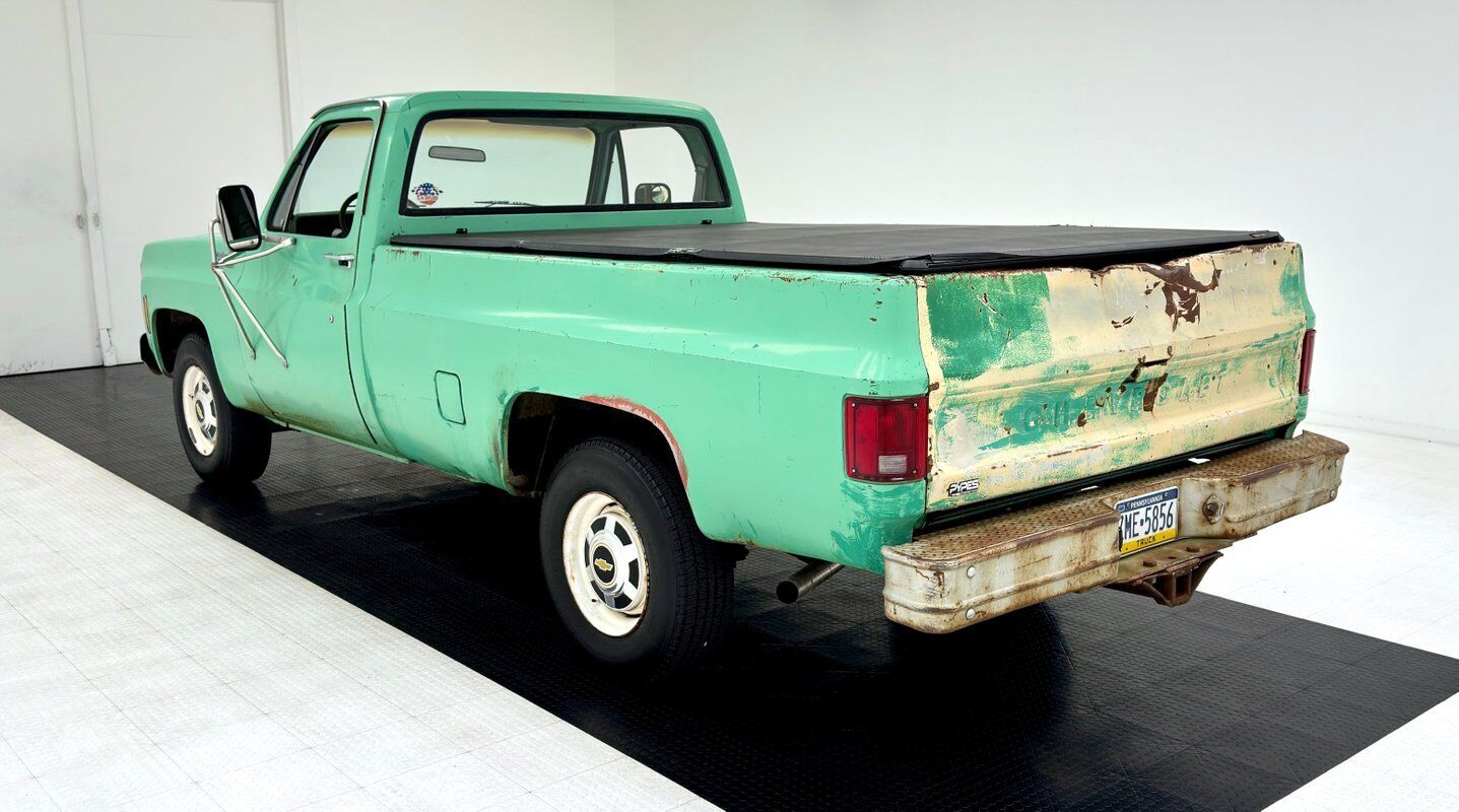 Chevrolet-Other-Pickups-Pickup-1980-2